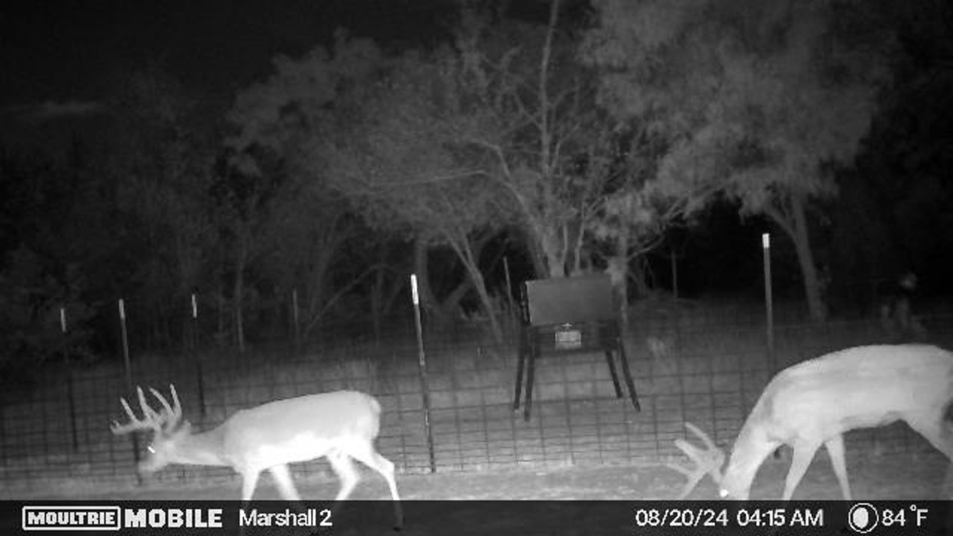 401 Cr 498 Goldsboro TX 79519