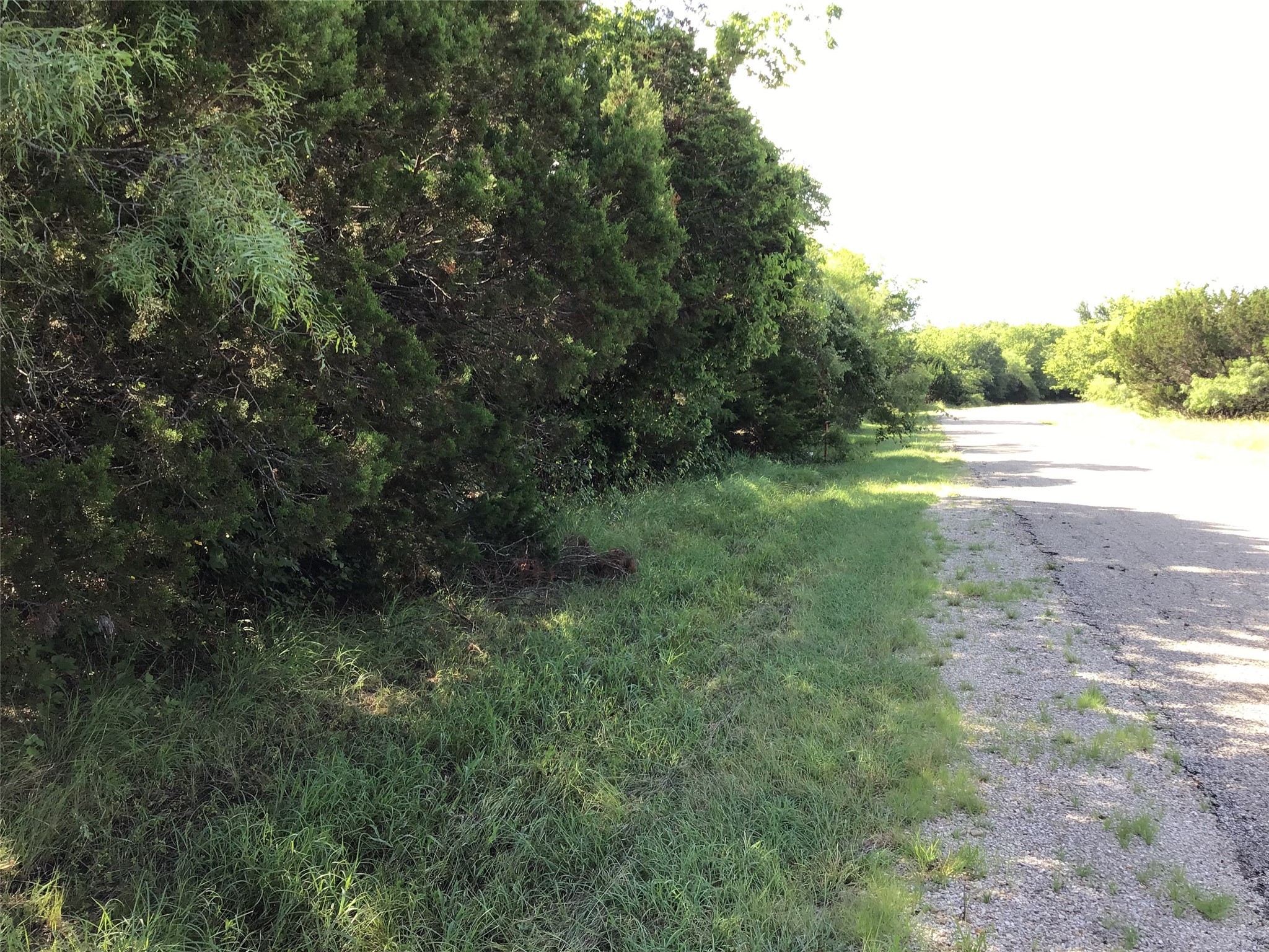 12117 Oak Dale Drive Whitney TX 76692