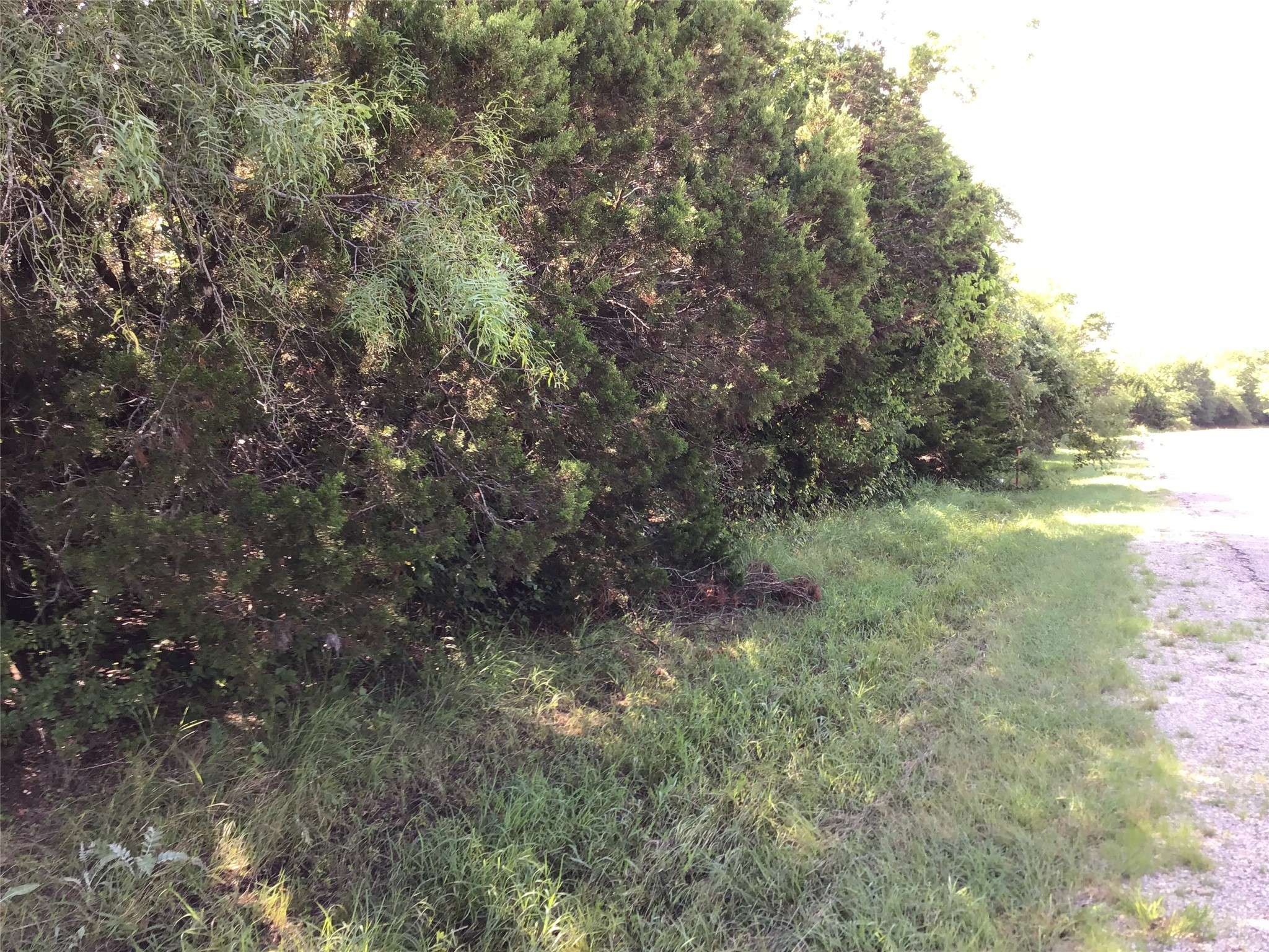 12117 Oak Dale Drive Whitney TX 76692