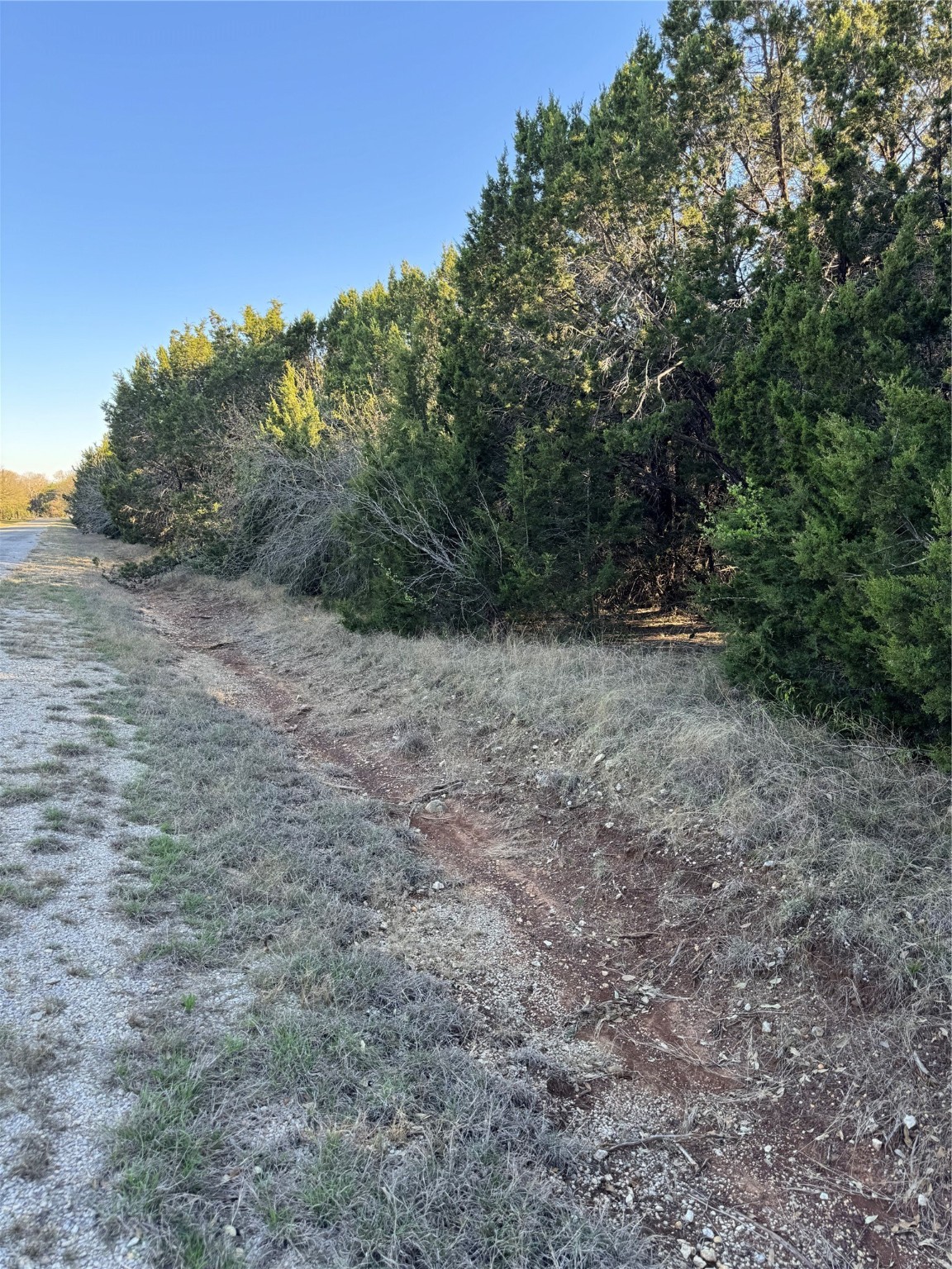 12117 Oak Dale Drive Whitney TX 76692