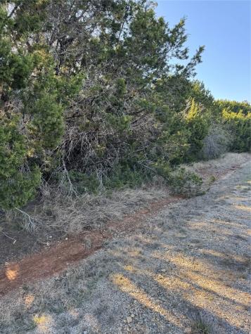 12117 Oak Dale Drive Whitney TX 76692