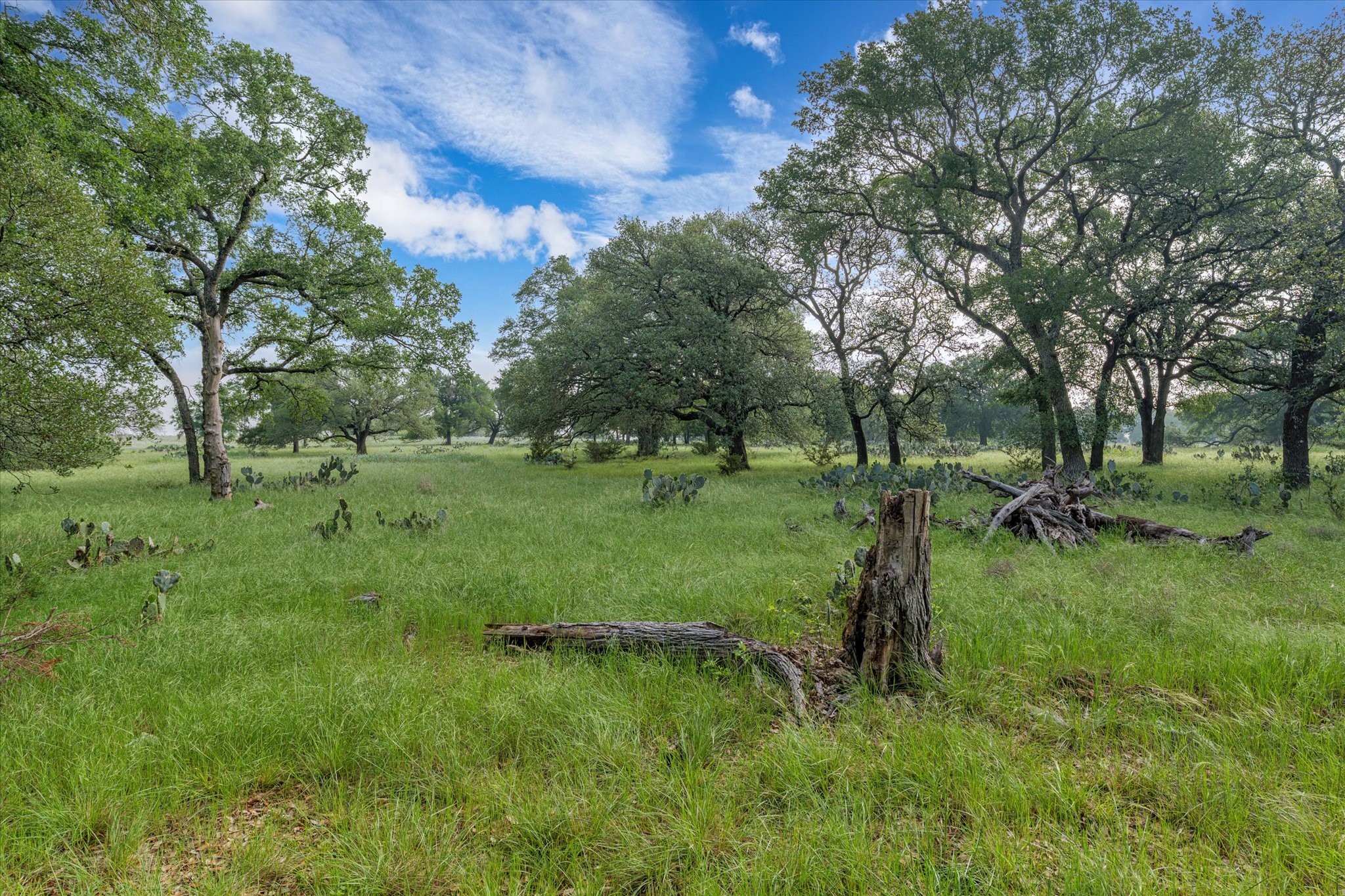 254 Guadalupe Drive Oglesby TX 76561