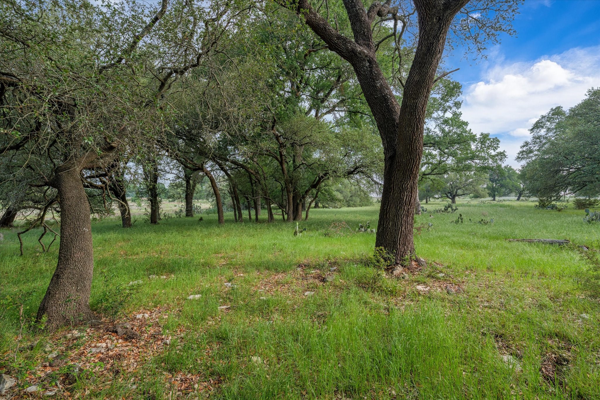 254 Guadalupe Drive Oglesby TX 76561