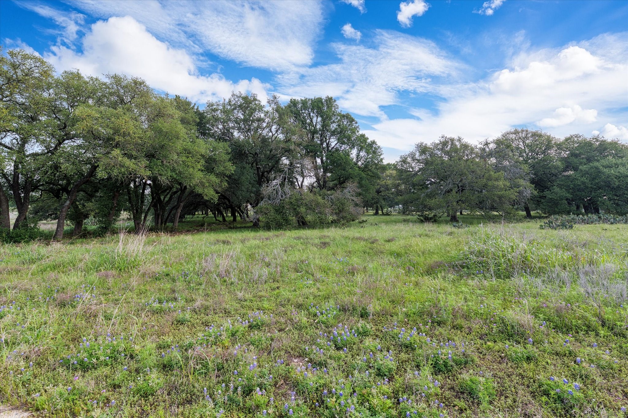 254 Guadalupe Drive Oglesby TX 76561