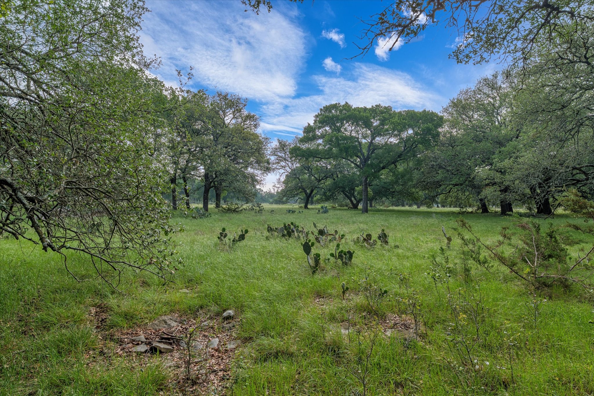 254 Guadalupe Drive Oglesby TX 76561