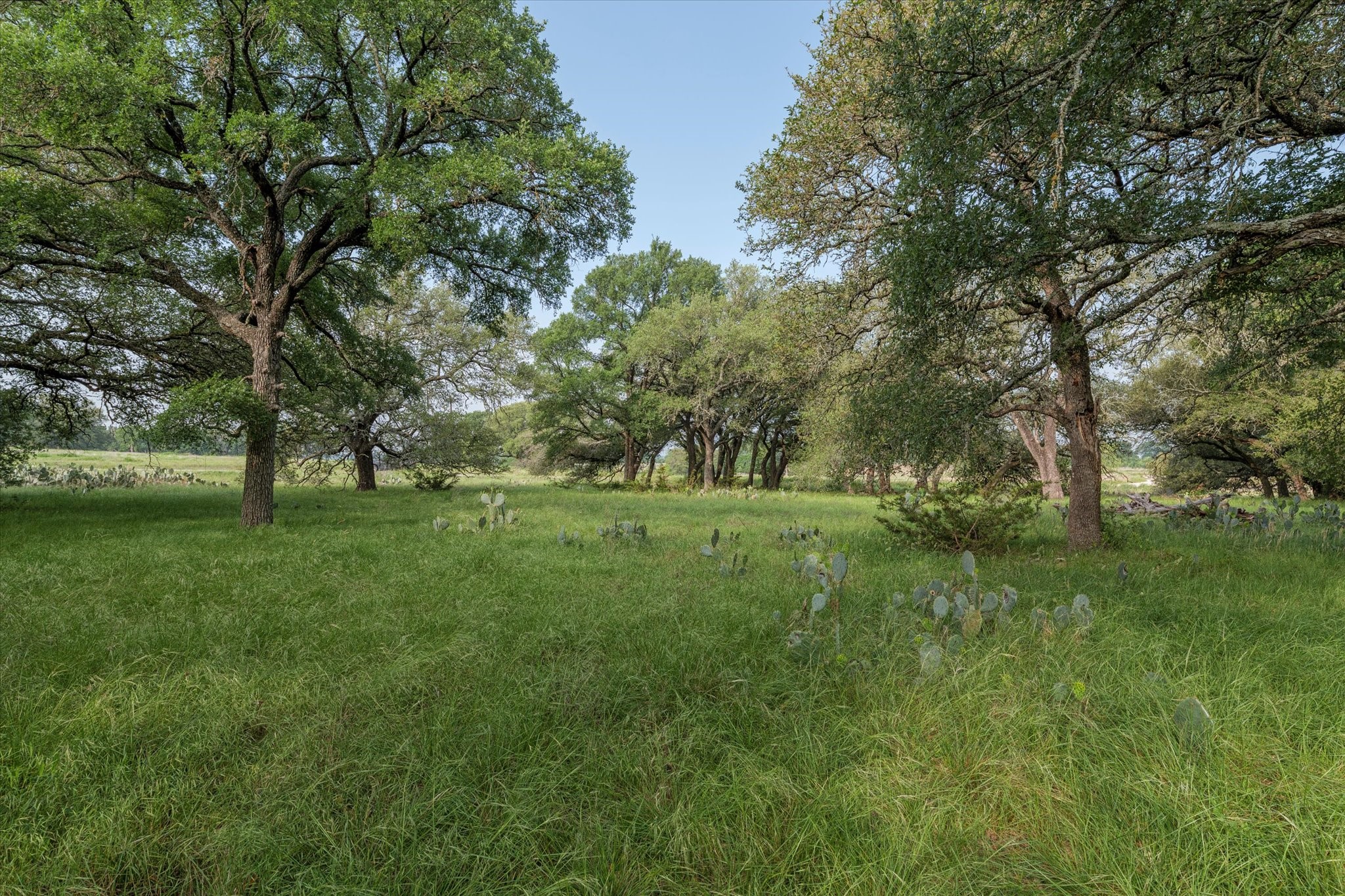 254 Guadalupe Drive Oglesby TX 76561