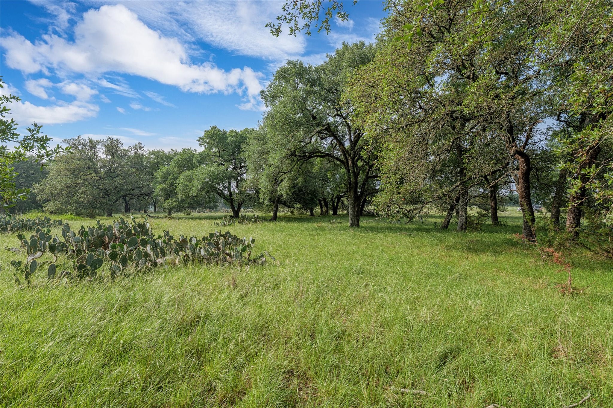 254 Guadalupe Drive Oglesby TX 76561