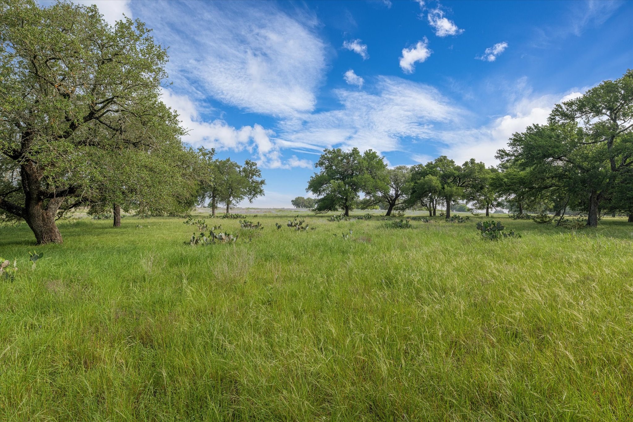 254 Guadalupe Drive Oglesby TX 76561