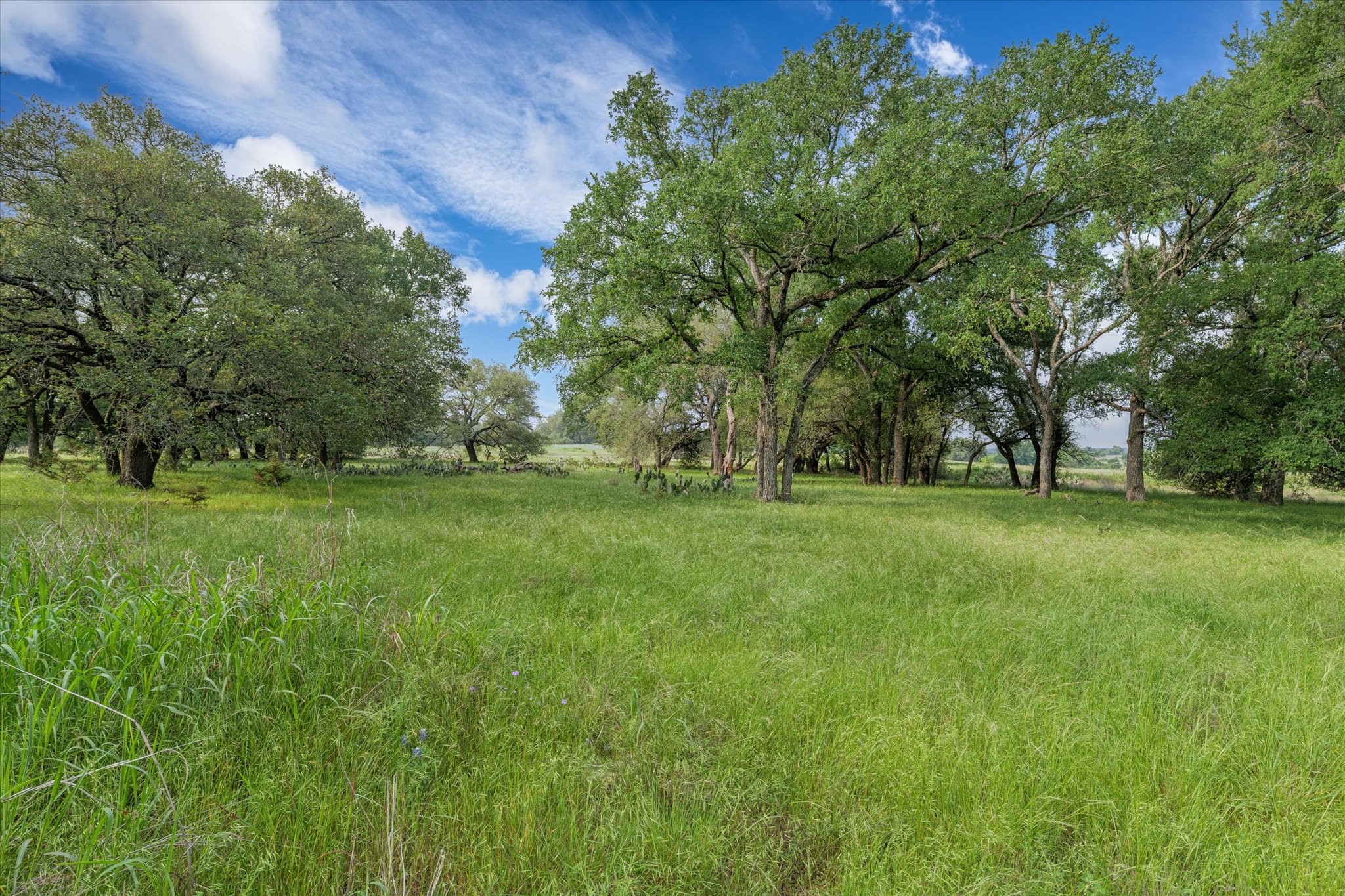 254 Guadalupe Drive Oglesby TX 76561