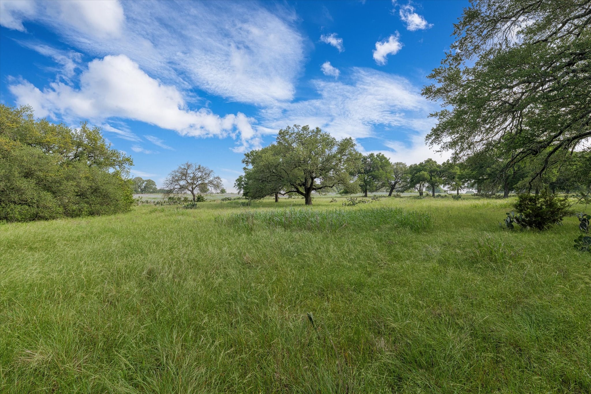 254 Guadalupe Drive Oglesby TX 76561