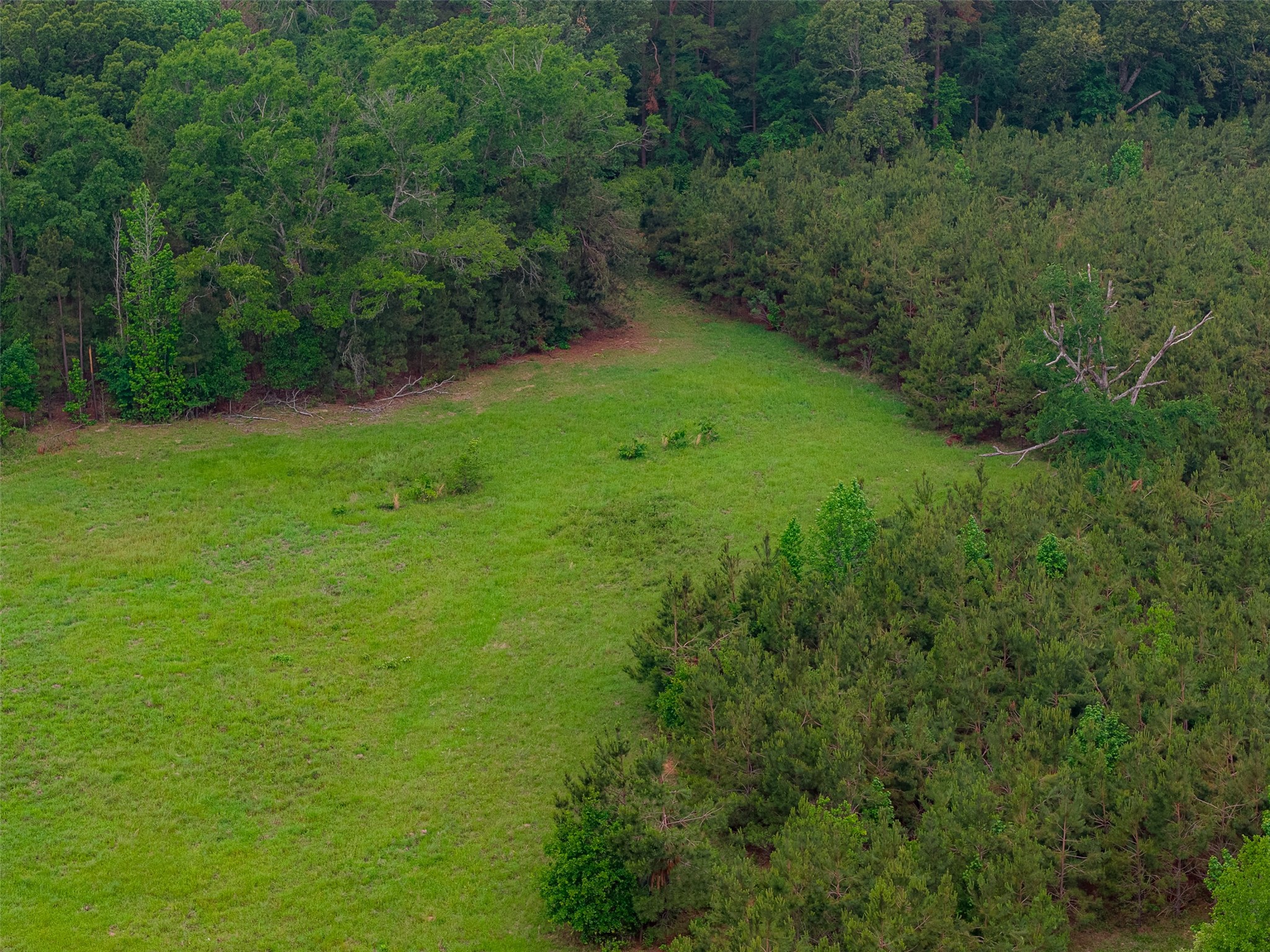 0 Cr 152 Carthage TX 75633