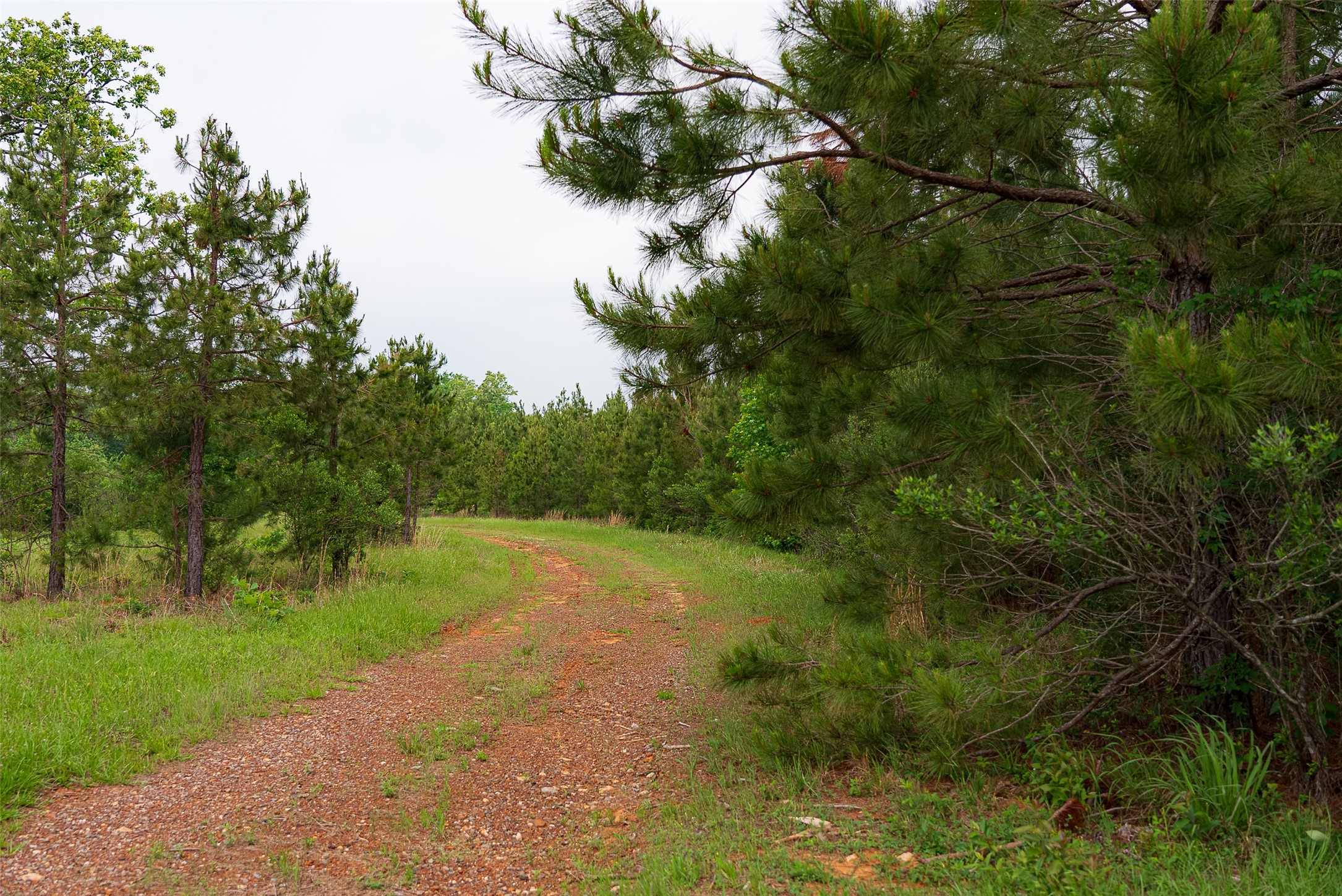 0 Cr 152 Carthage TX 75633