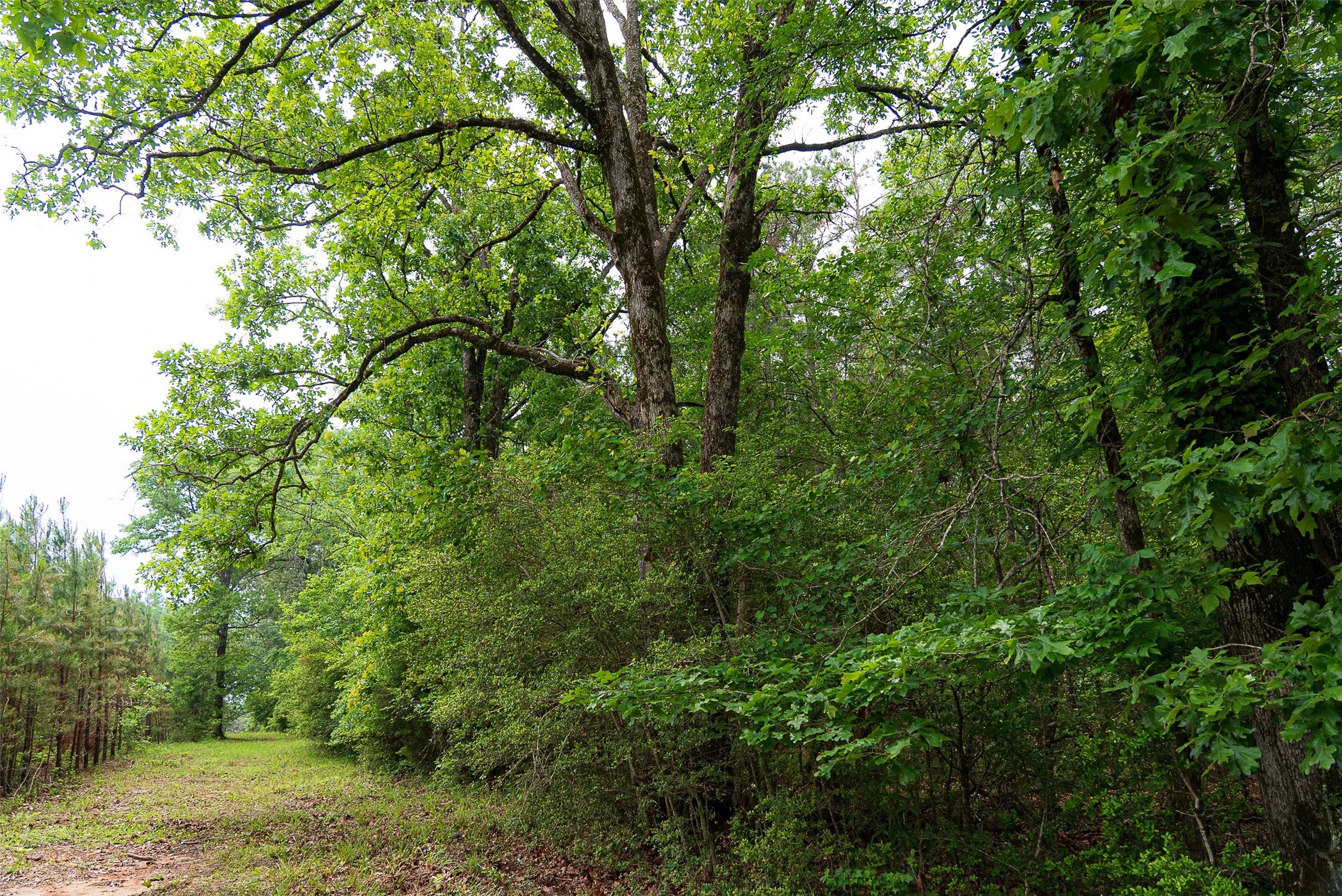 0 Cr 152 Carthage TX 75633