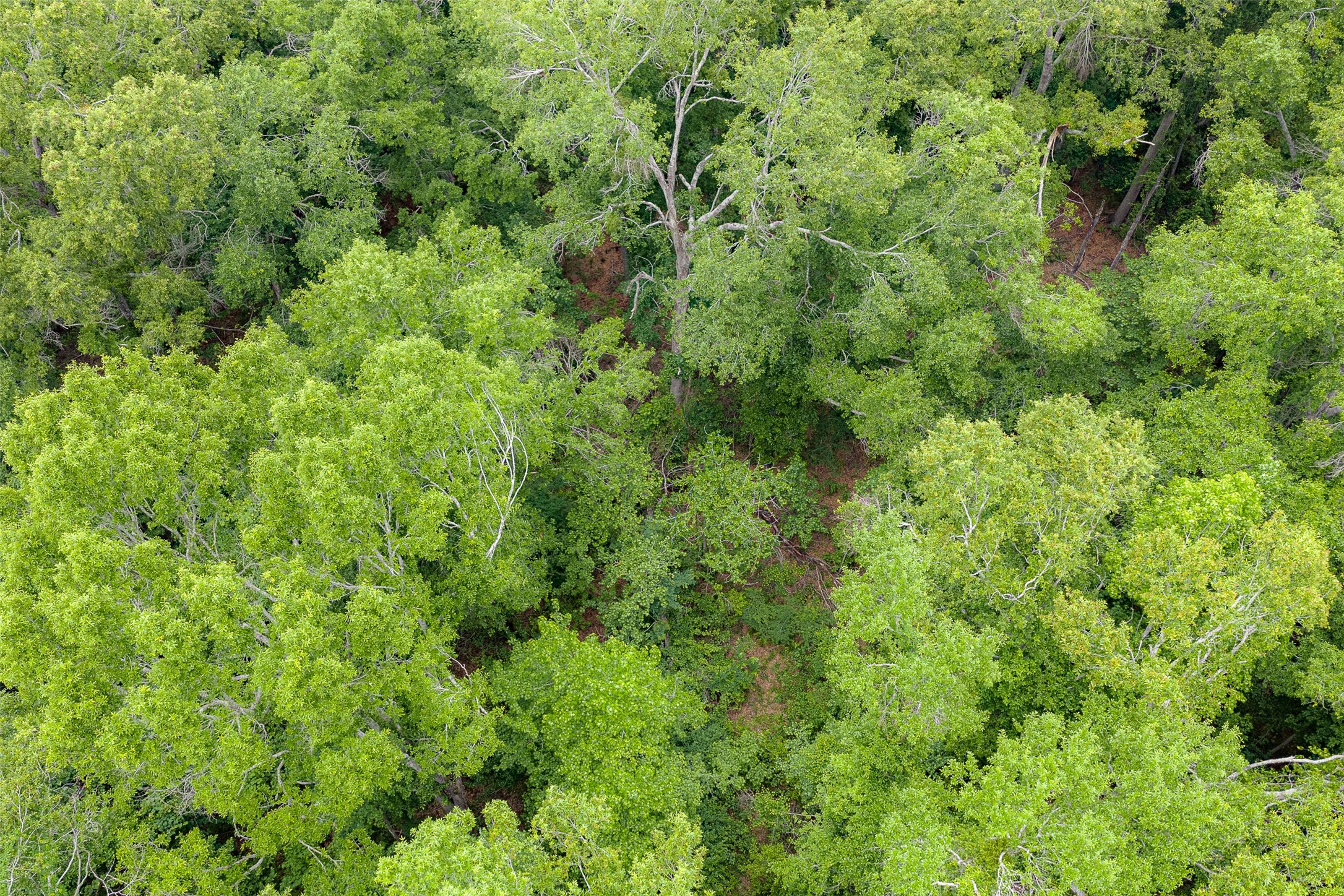 0 Cr 152 Carthage TX 75633