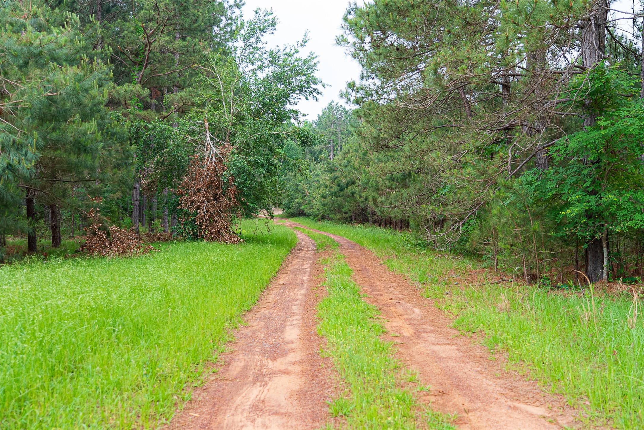 0 Cr 152 Carthage TX 75633