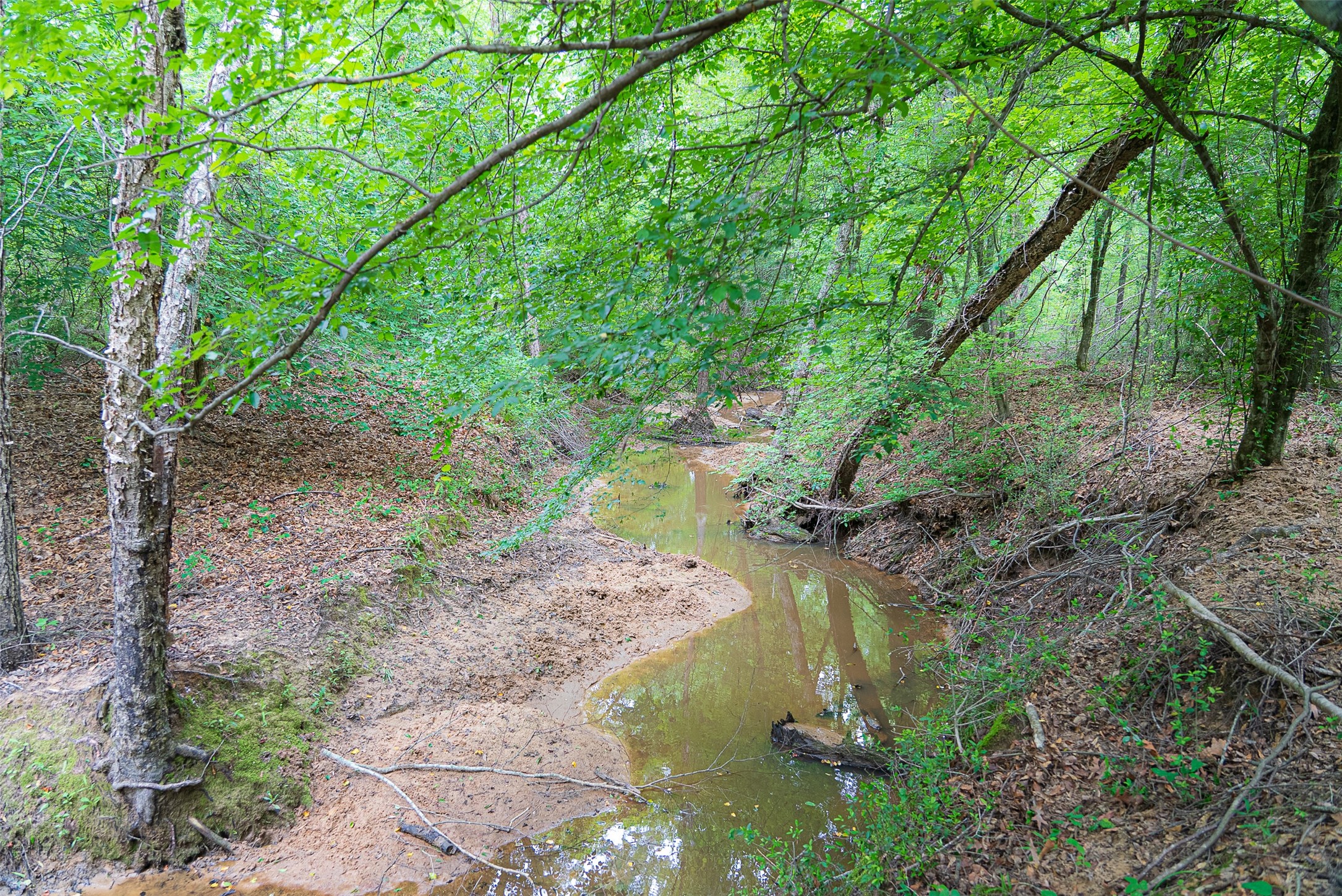 0 Cr 152 Carthage TX 75633