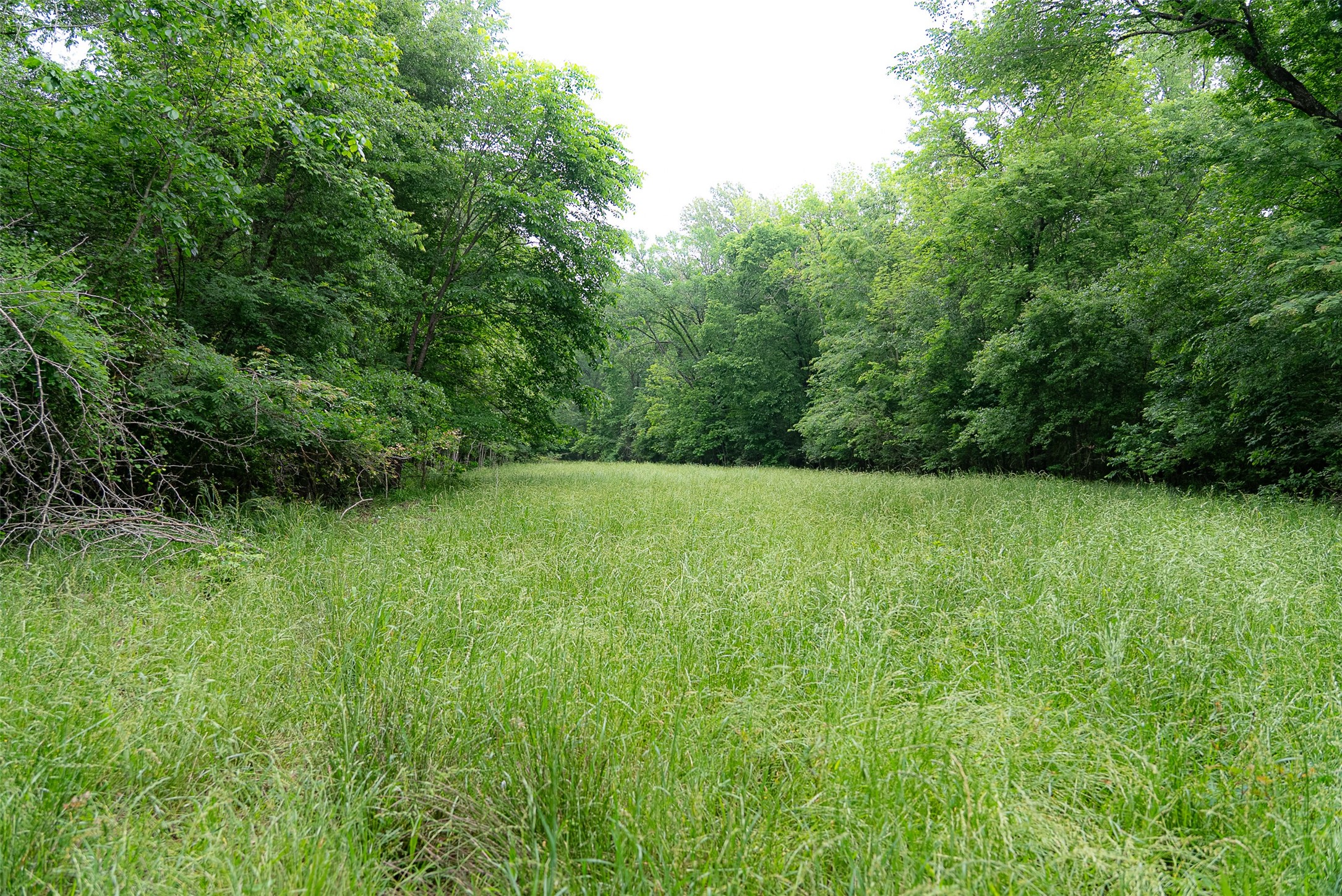 0 Cr 152 Carthage TX 75633