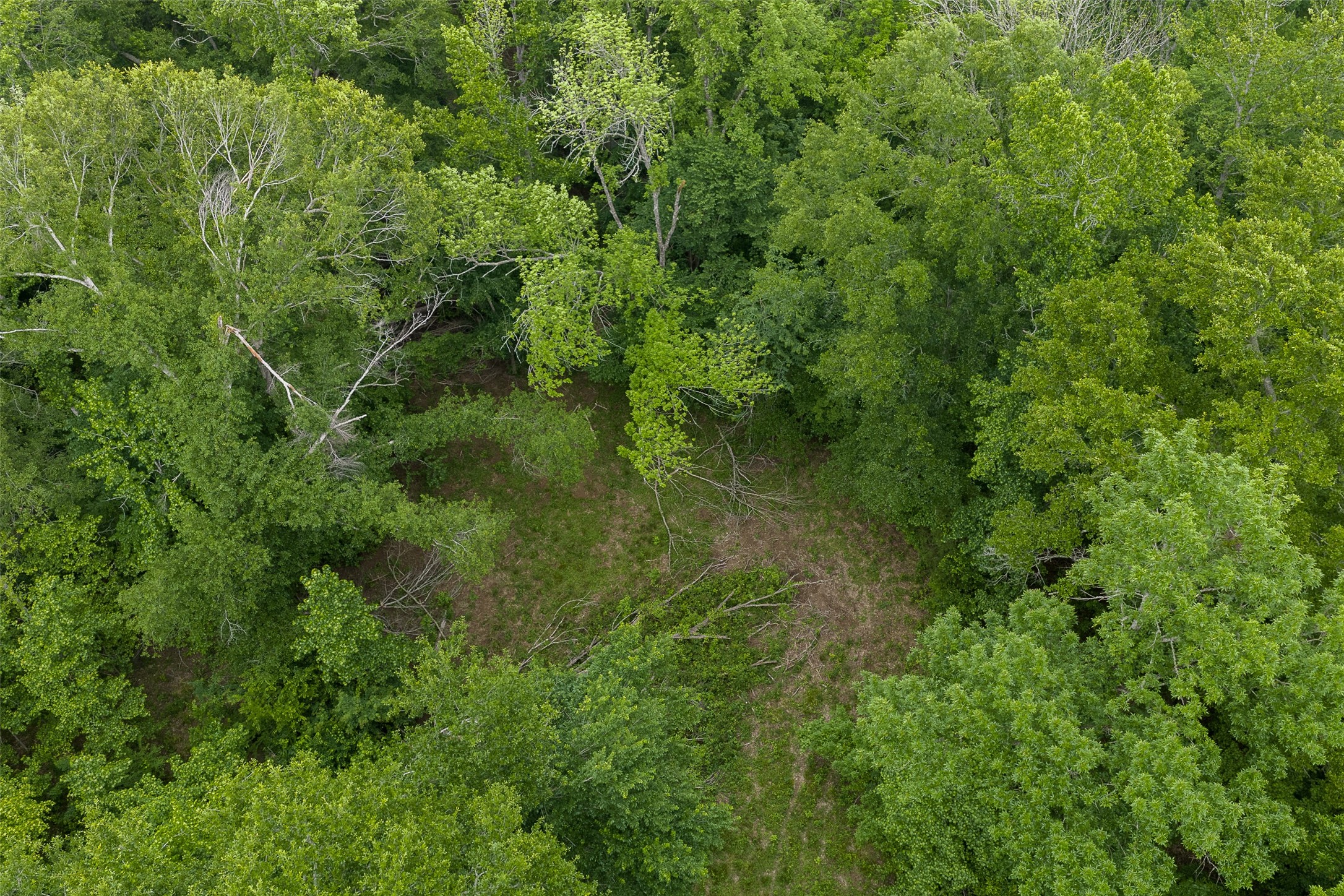 0 Cr 152 Carthage TX 75633