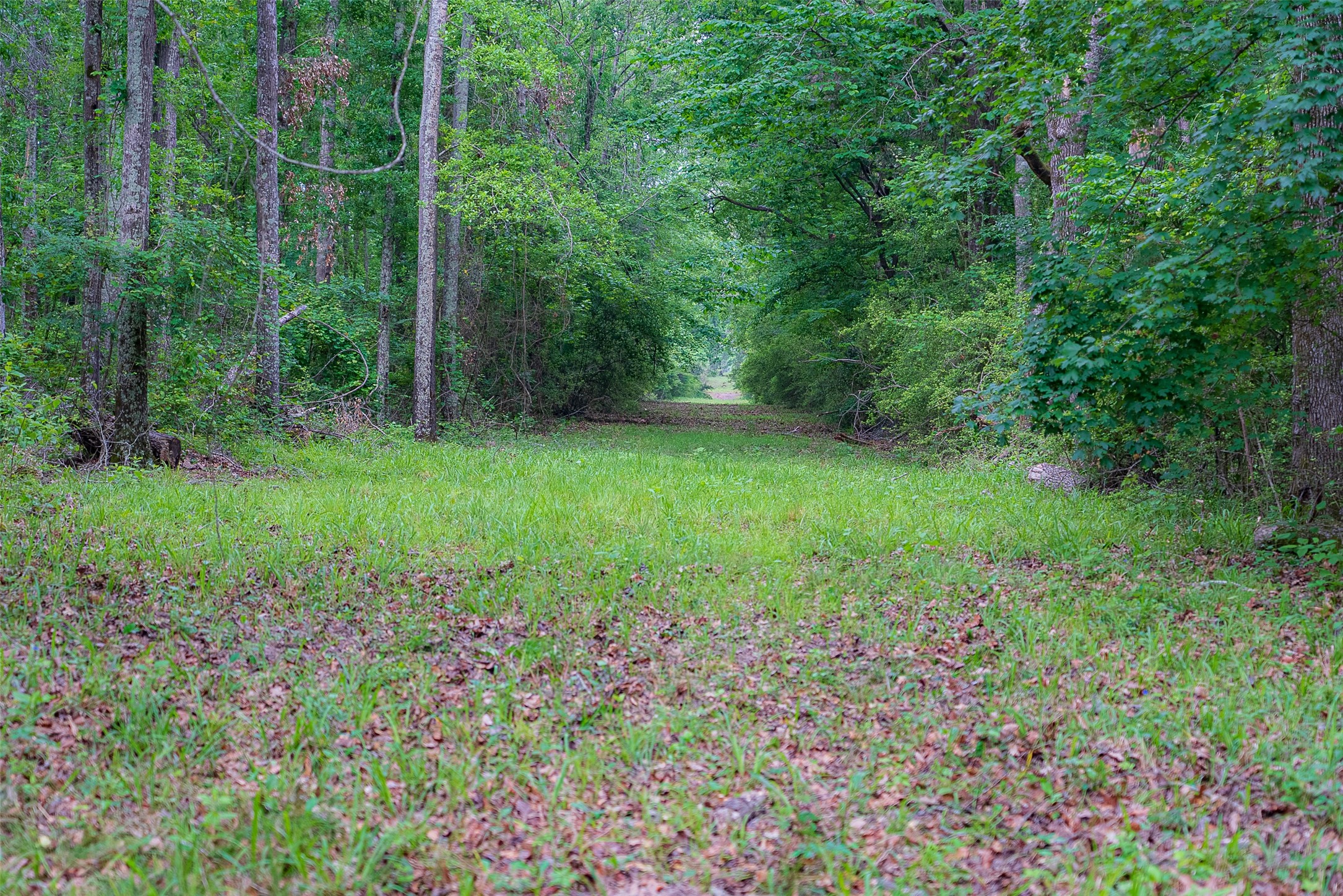 0 Cr 152 Carthage TX 75633