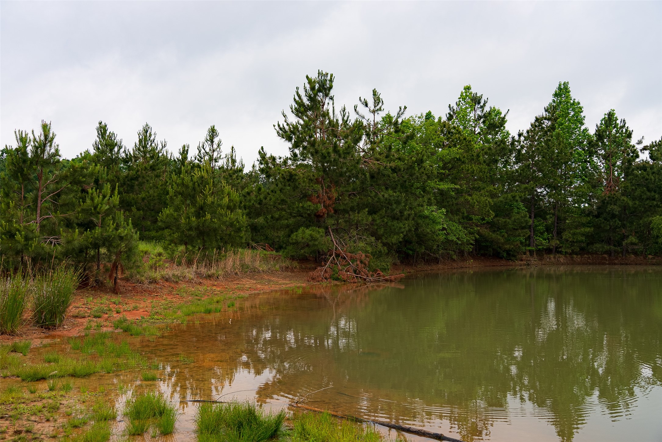 0 Cr 152 Carthage TX 75633