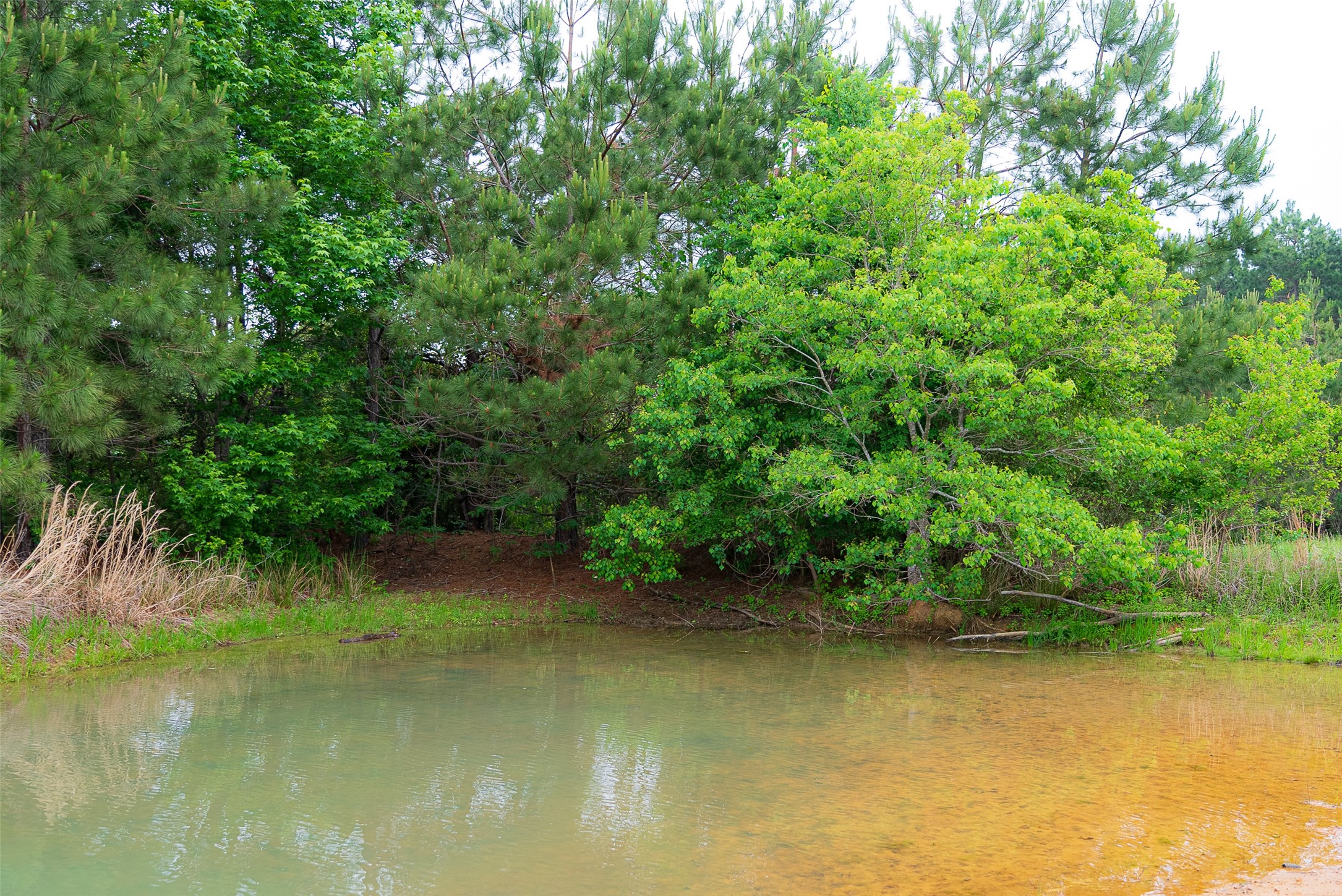 0 Cr 152 Carthage TX 75633