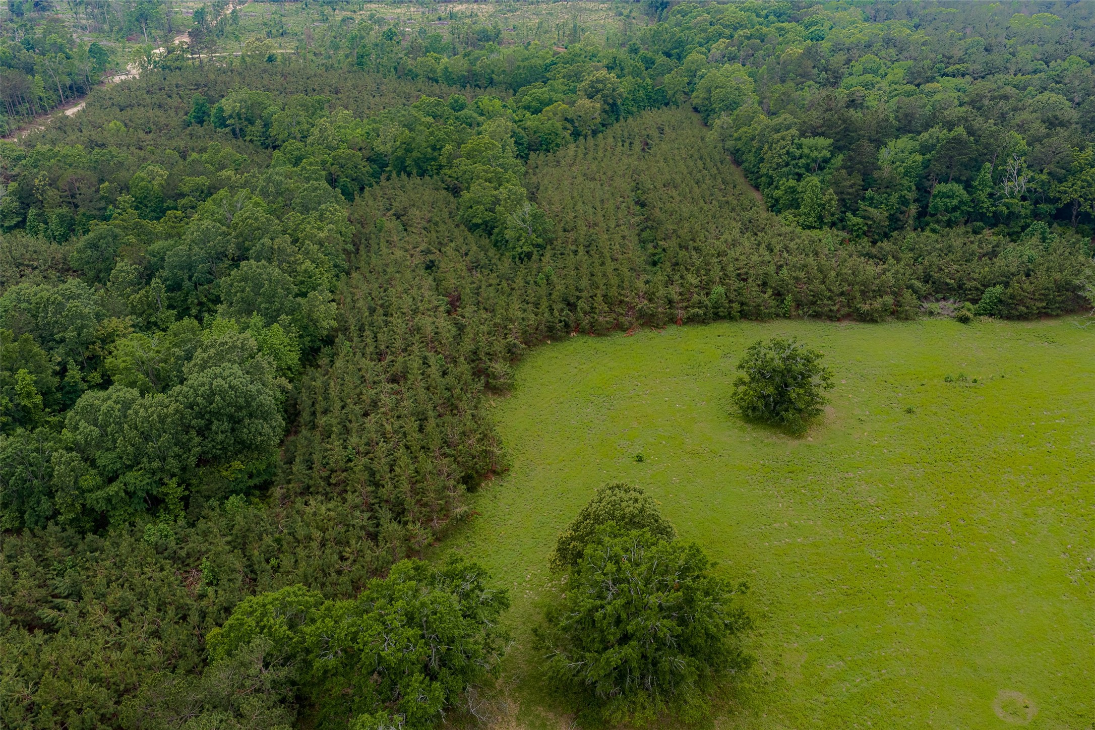 0 Cr 152 Carthage TX 75633