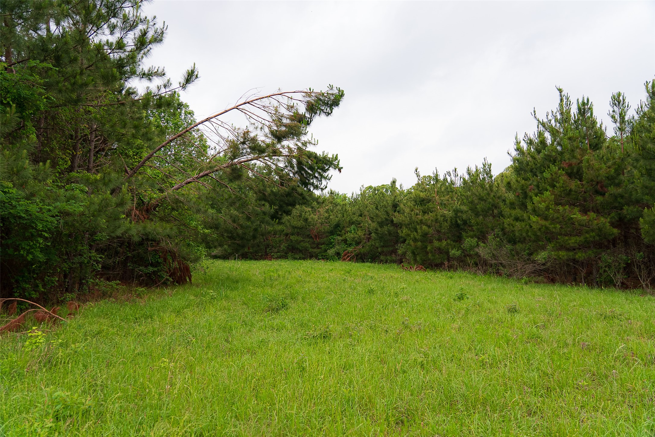 0 Cr 152 Carthage TX 75633