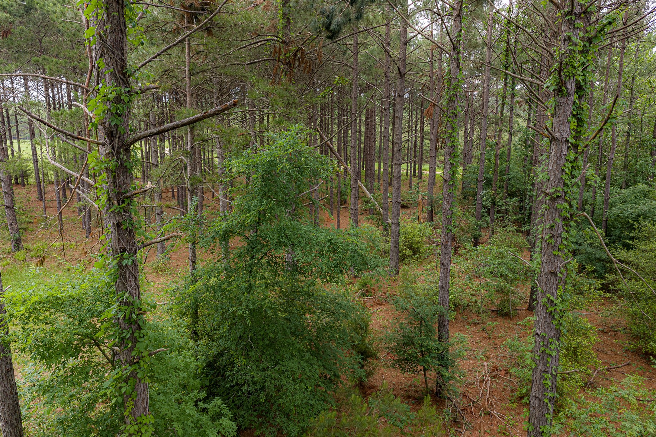 0 Cr 152 Carthage TX 75633