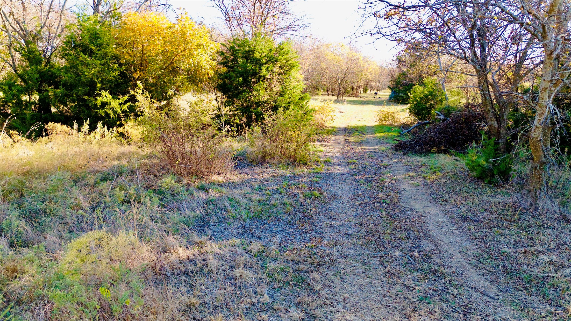 0 Kerfoot Road Gunter TX 75058