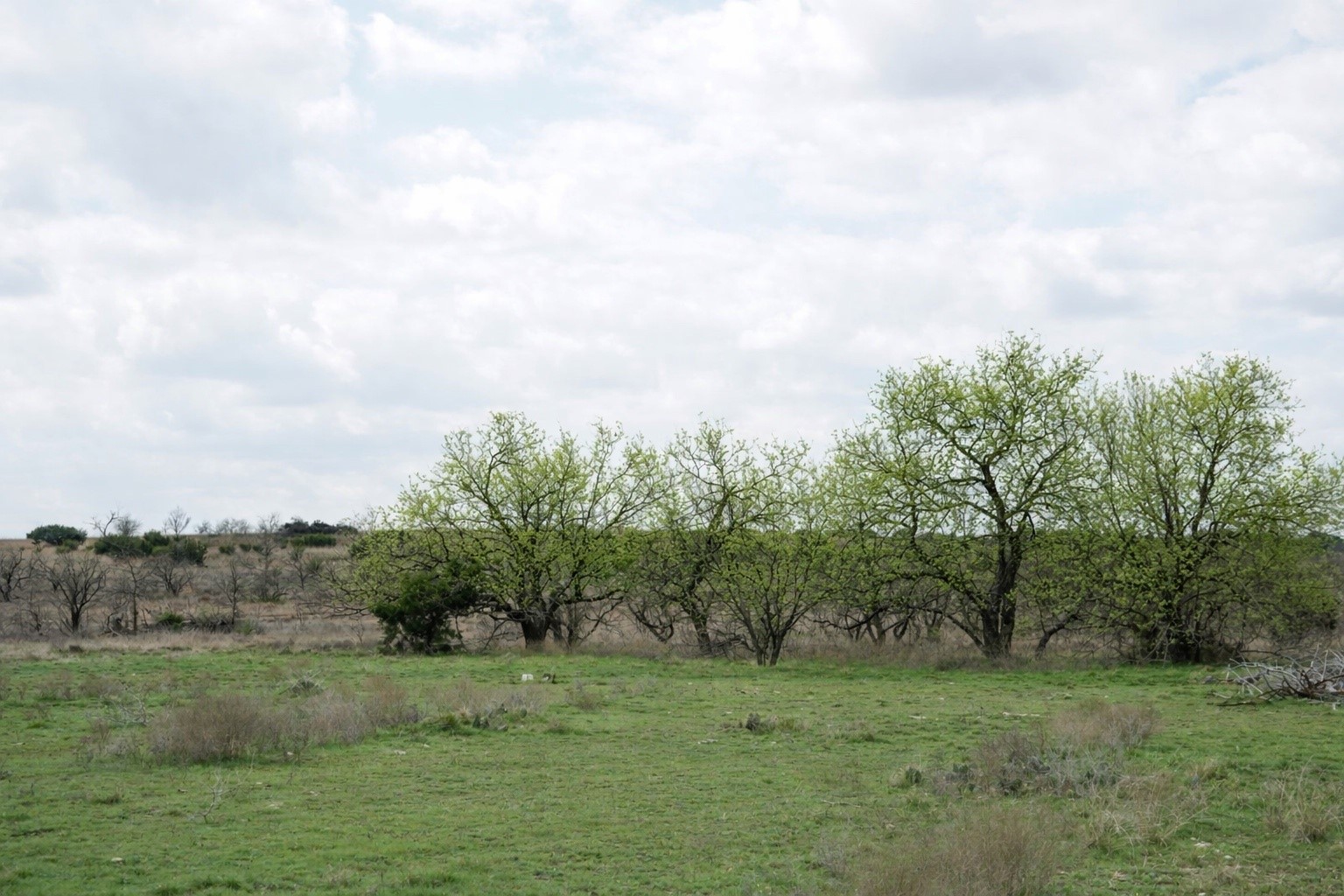 Tbd County Road 224 Jonesboro TX 76538