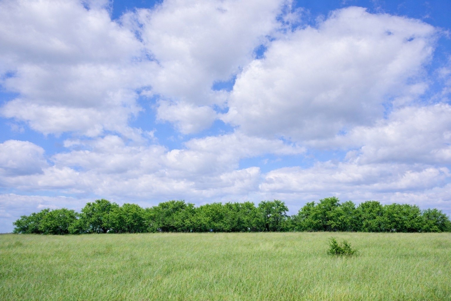 Tbd County Road 224 Jonesboro TX 76538