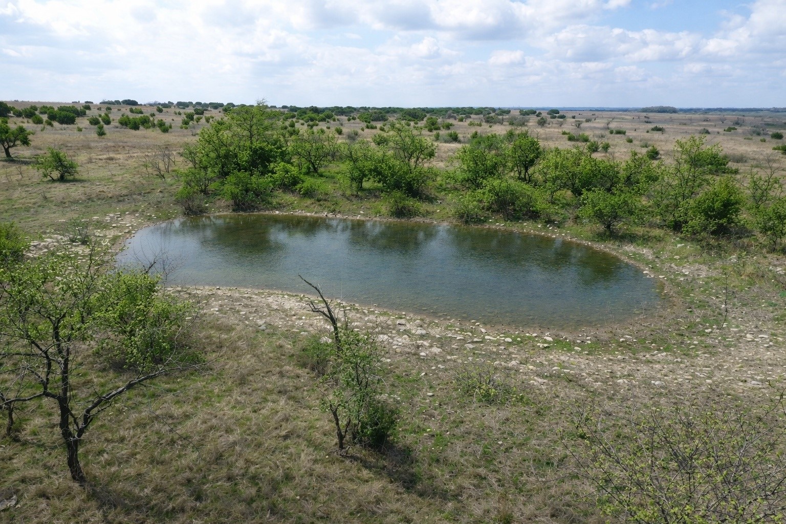 Tbd County Road 224 Jonesboro TX 76538