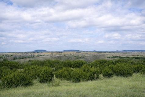 TBD County Road 224 Jonesboro TX 76538