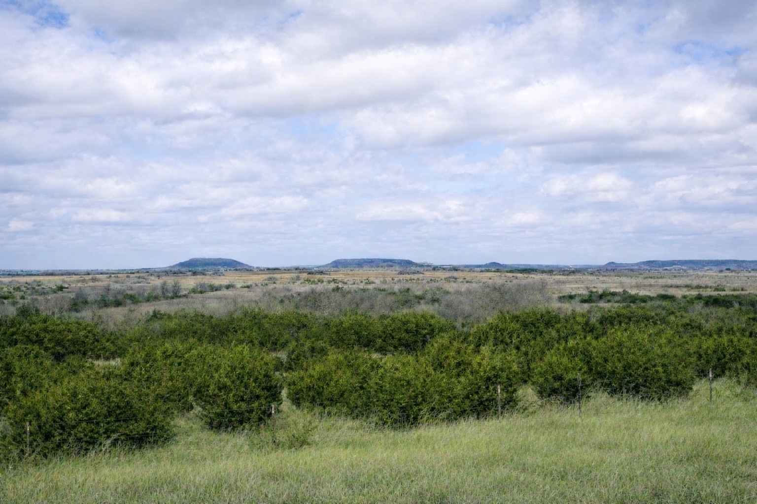 Tbd County Road 224 Jonesboro TX 76538