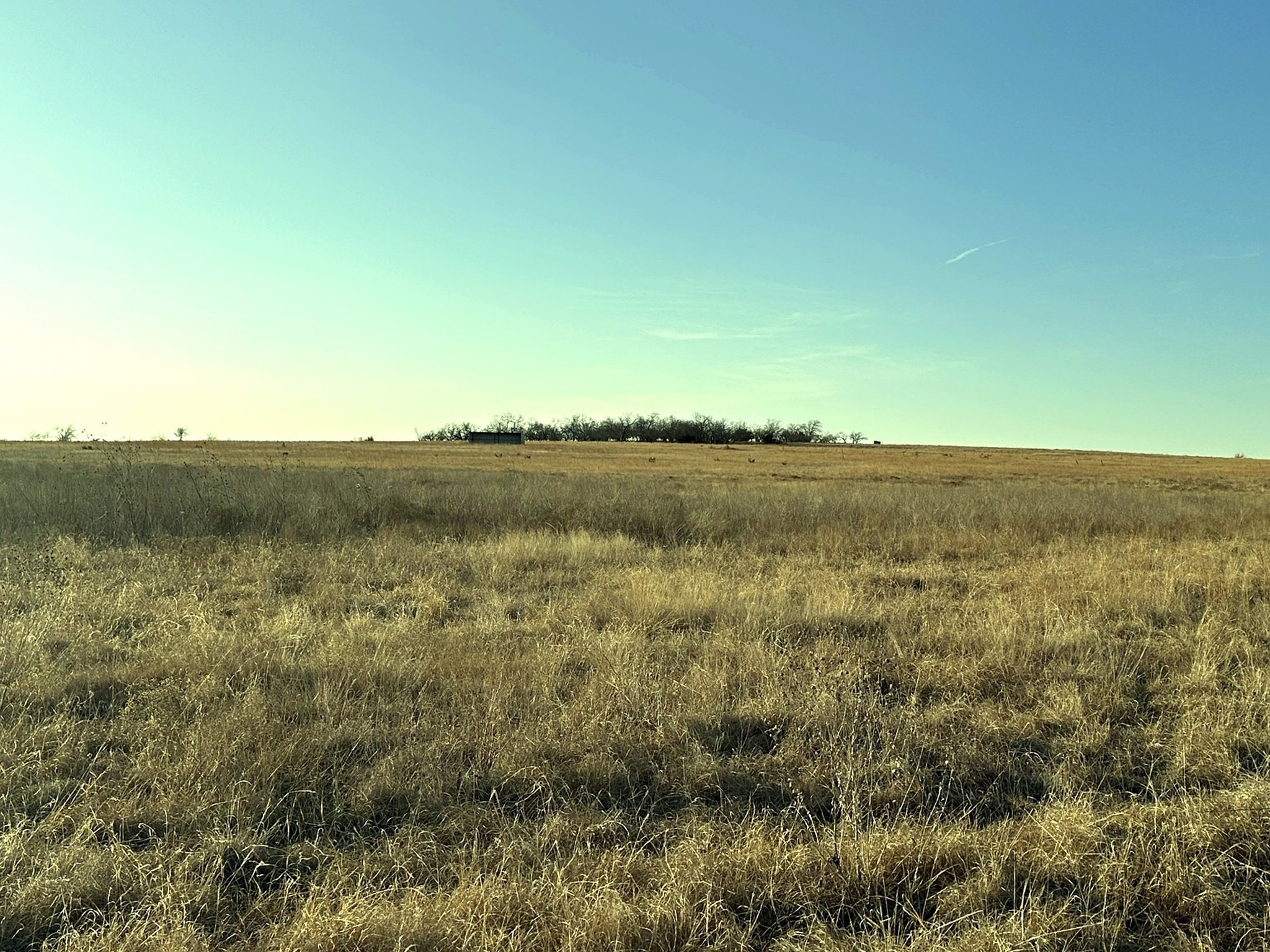 Tbd County Road 224 Jonesboro TX 76538