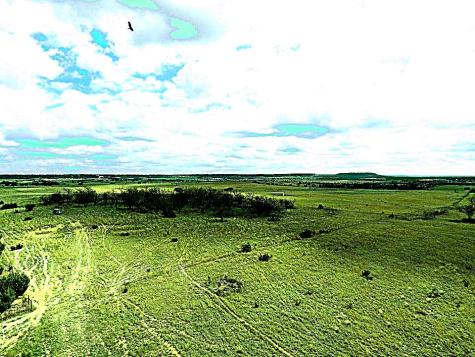Tbd County Road 224 Jonesboro TX 76538
