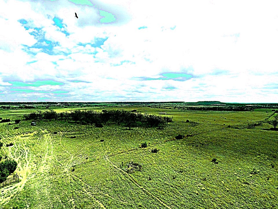 Tbd County Road 224 Jonesboro TX 76538