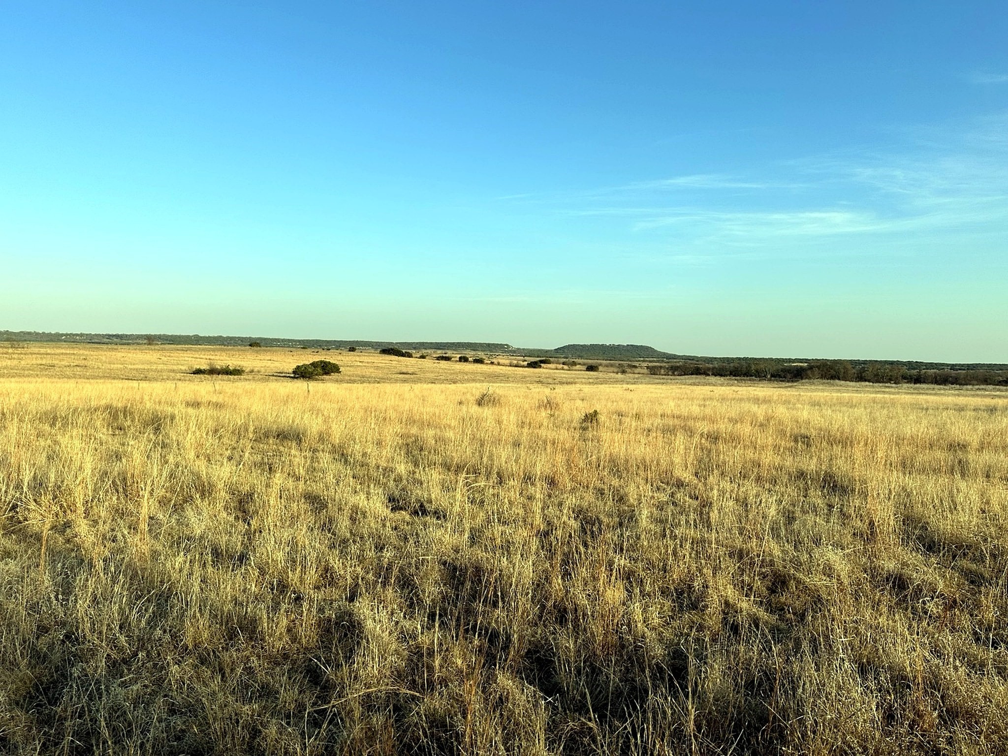 Tbd County Road 224 Jonesboro TX 76538