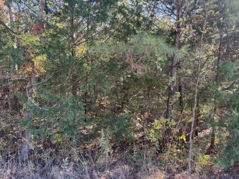 000 Cr 2451 Clarksville TX 75426