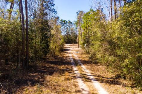 Lots 100-111 Lady Georgie Street Woodville TX 75979