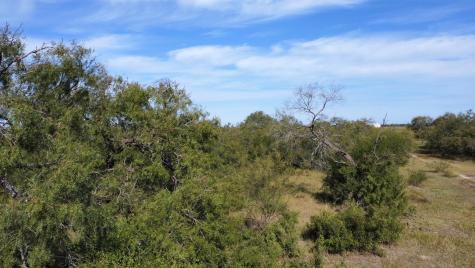 14135 County Road 1144 Sinton TX 78387