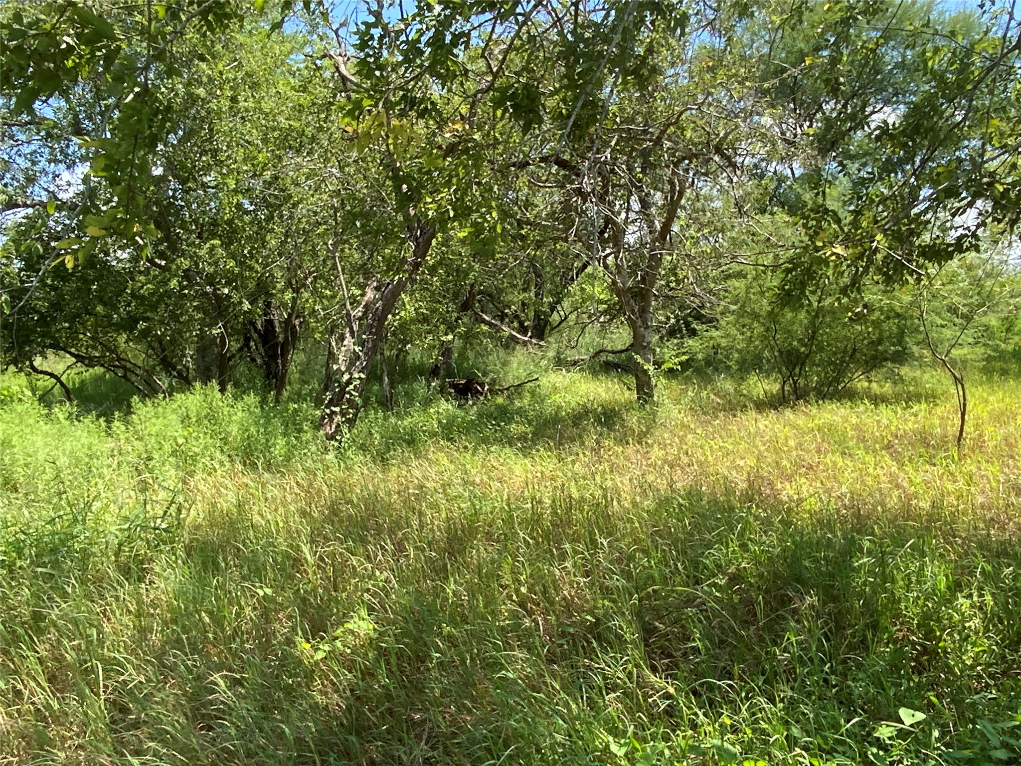 14135 County Road 1144 Sinton TX 78387