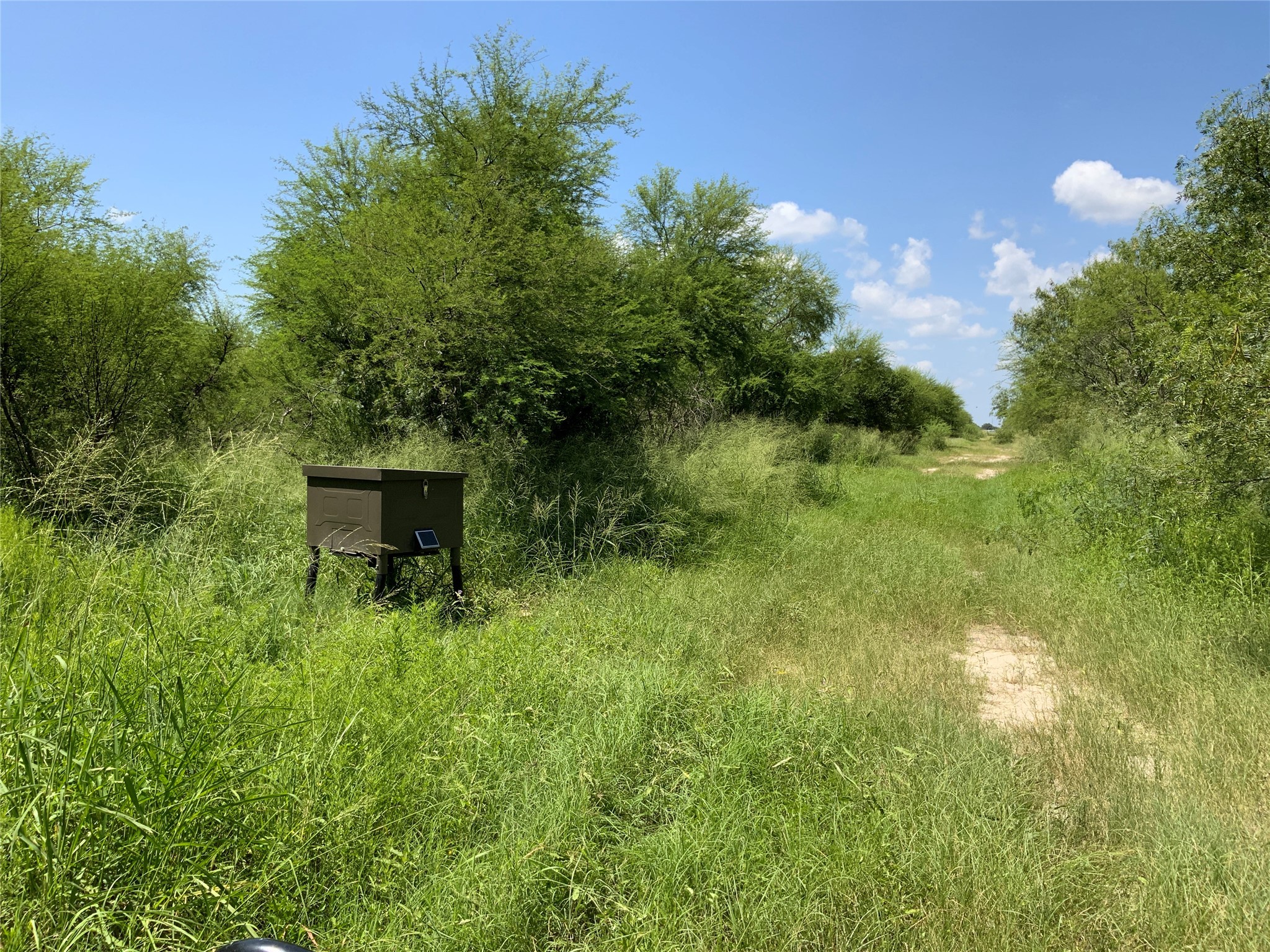 14135 County Road 1144 Sinton TX 78387
