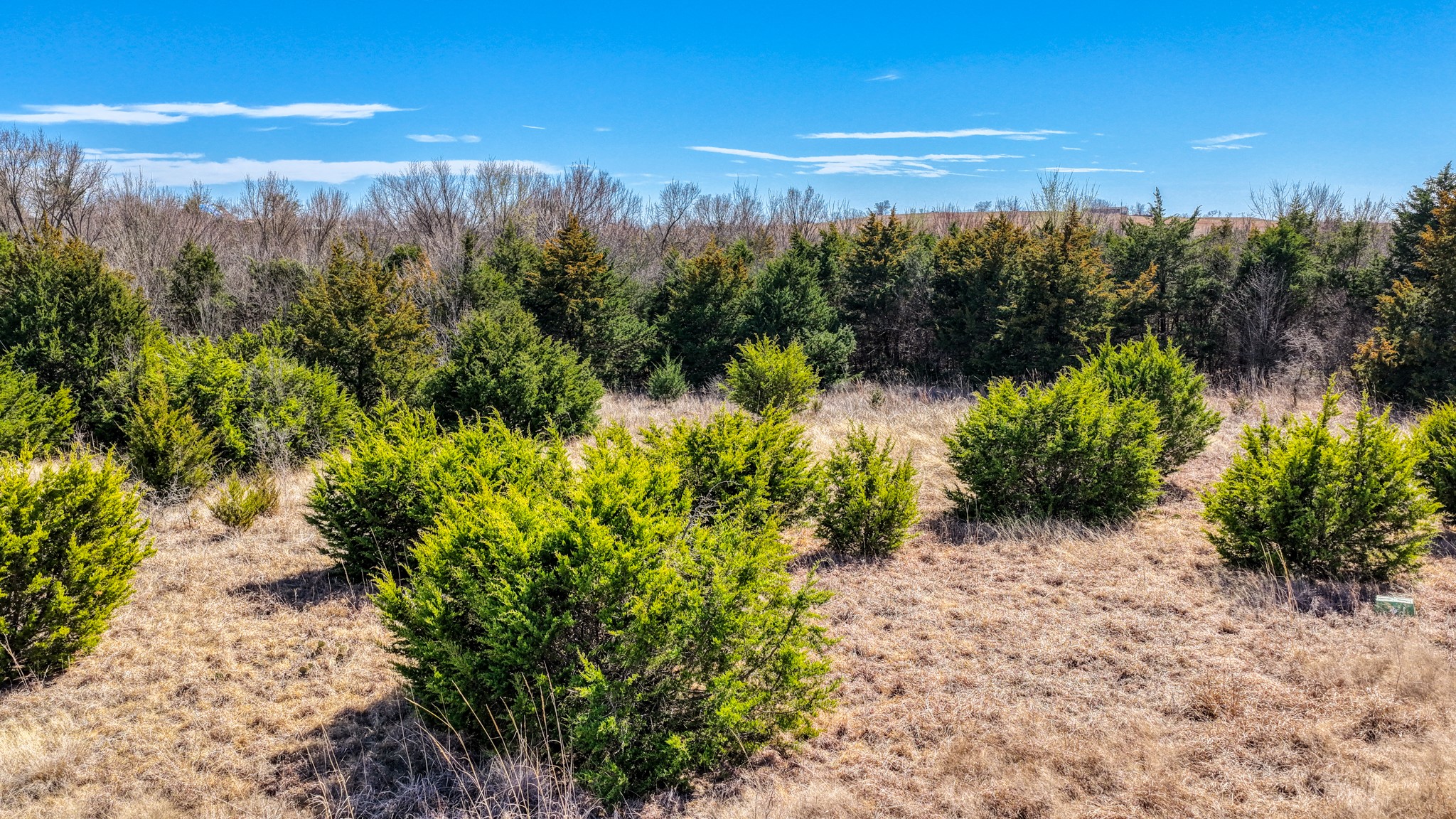 4109 Chisholm Trail Crowley TX 76036