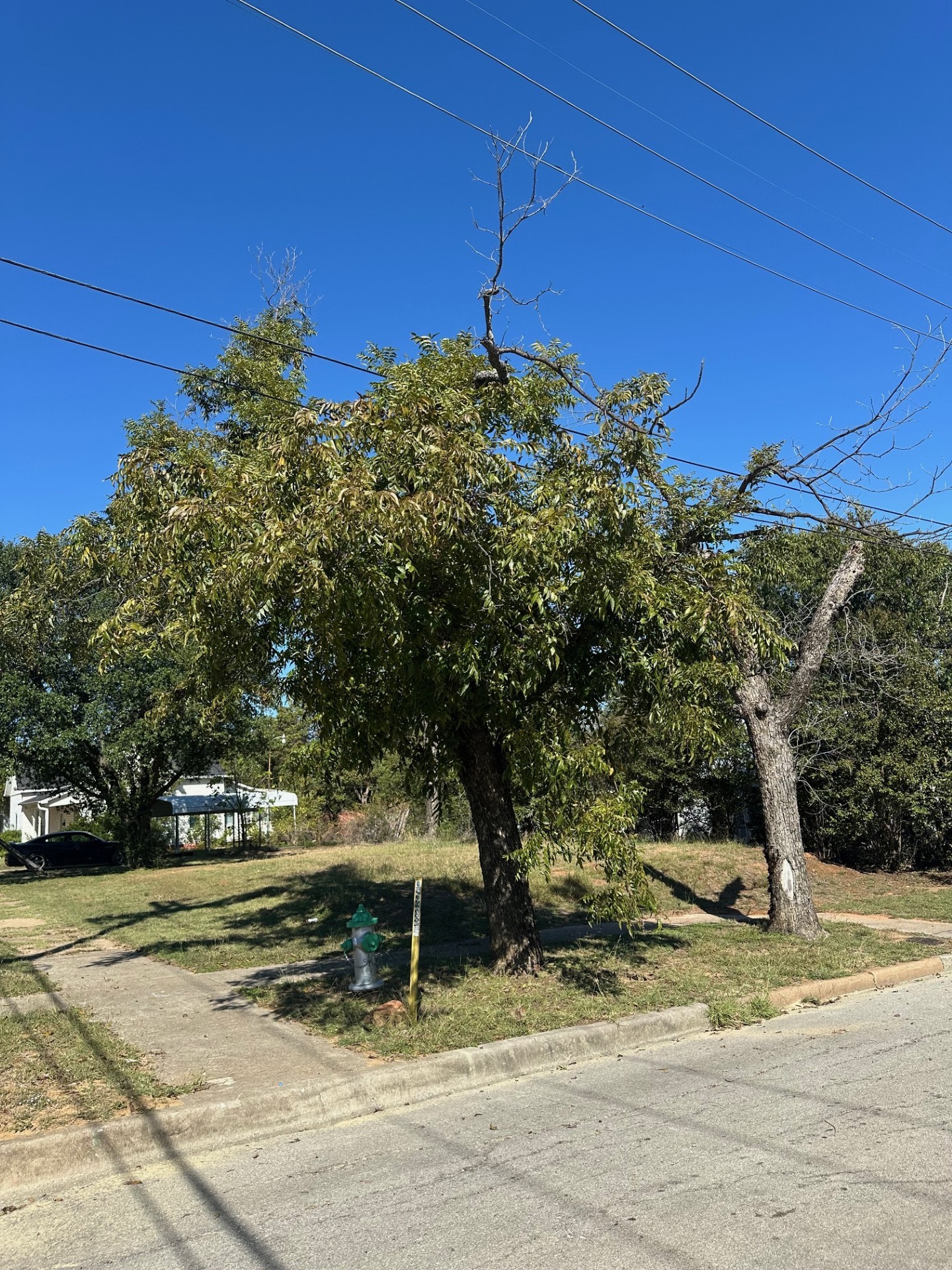 511 SW 5th Avenue Mineral Wells TX 76067