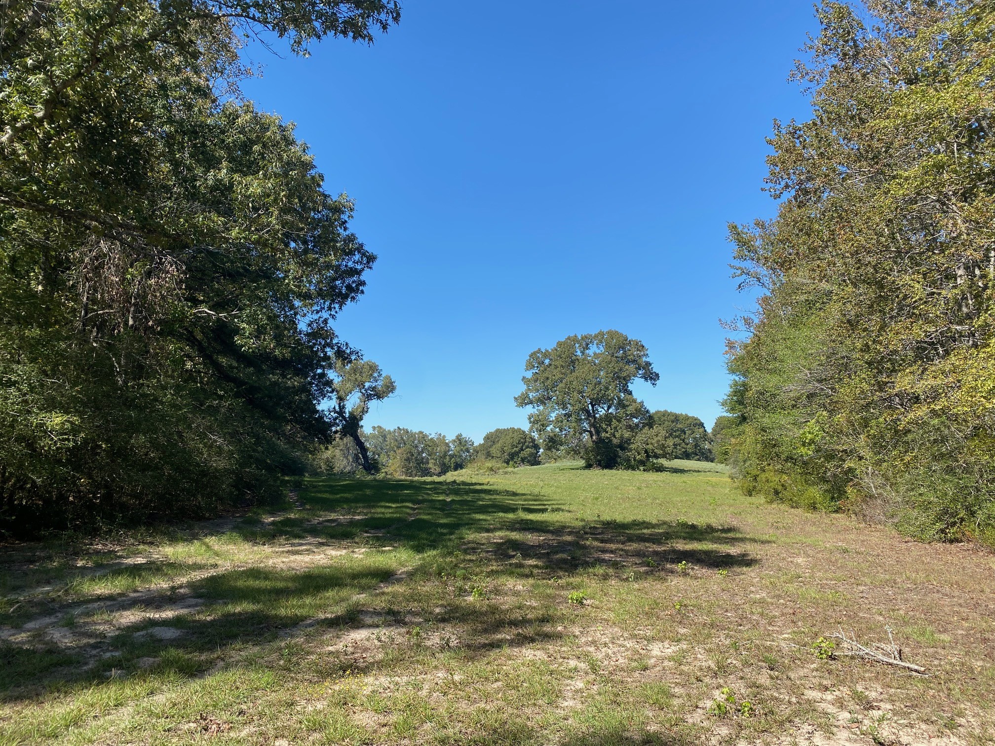 Tbd 006 County Road 242 Oakwood TX 75855