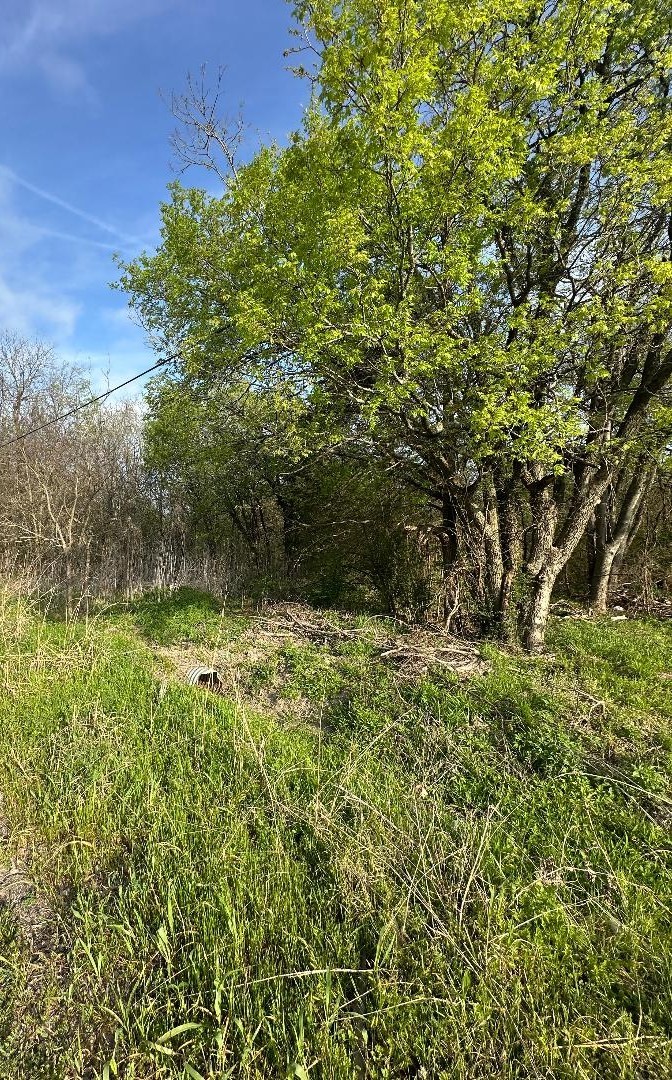 806 W Main Street Ladonia TX 75449