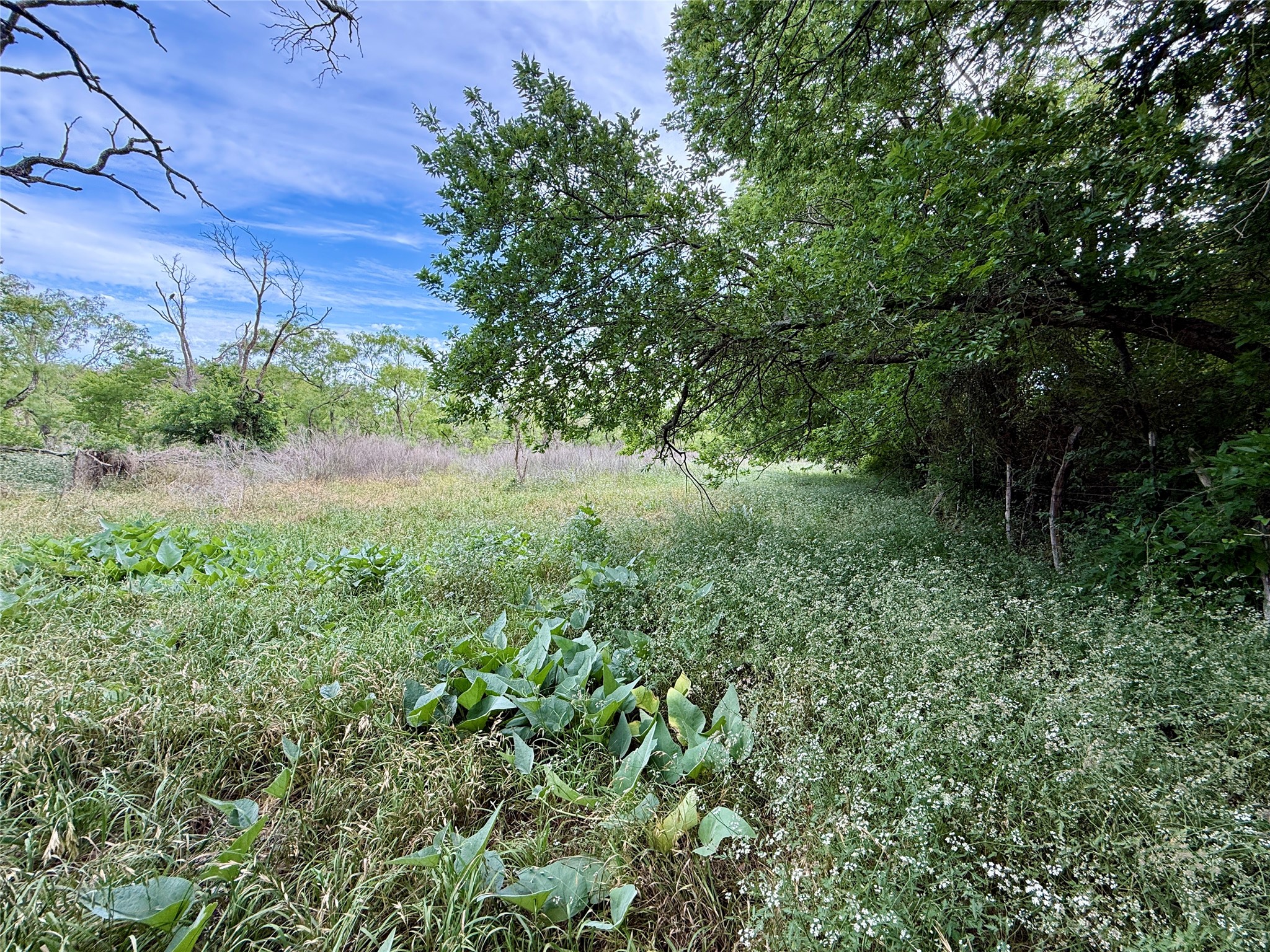 Tbd Magnolia/ Chestnut Street Hico TX 76457