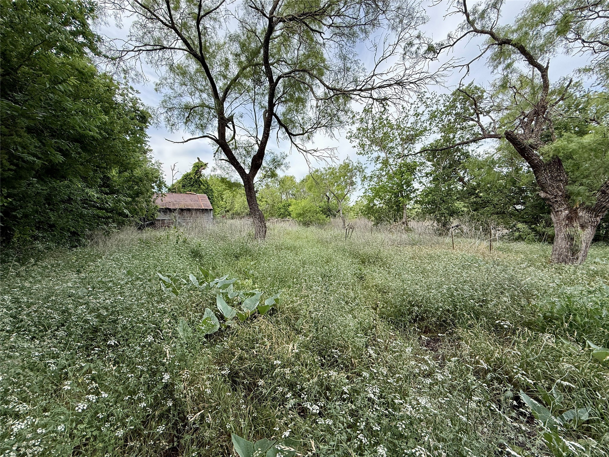 Tbd Magnolia/ Chestnut Street Hico TX 76457