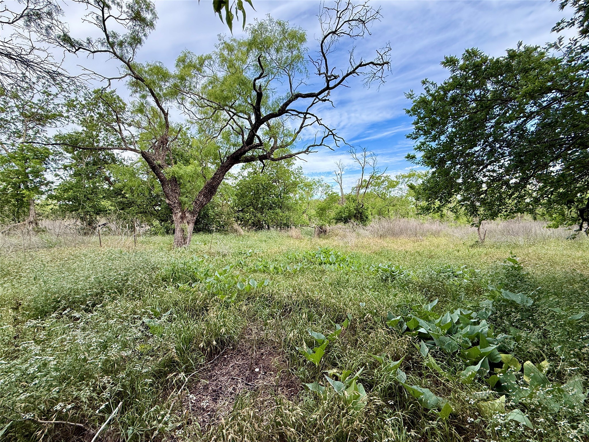 Tbd Magnolia/ Chestnut Street Hico TX 76457